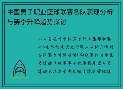 中国男子职业篮球联赛各队表现分析与赛季升降趋势探讨